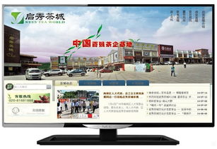 松江企業(yè)數(shù)字化轉(zhuǎn)型 一站式網(wǎng)站建設(shè)、維護(hù)與托管解決方案